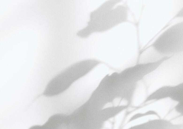 milad fakurian UqP7U400AZs unsplash